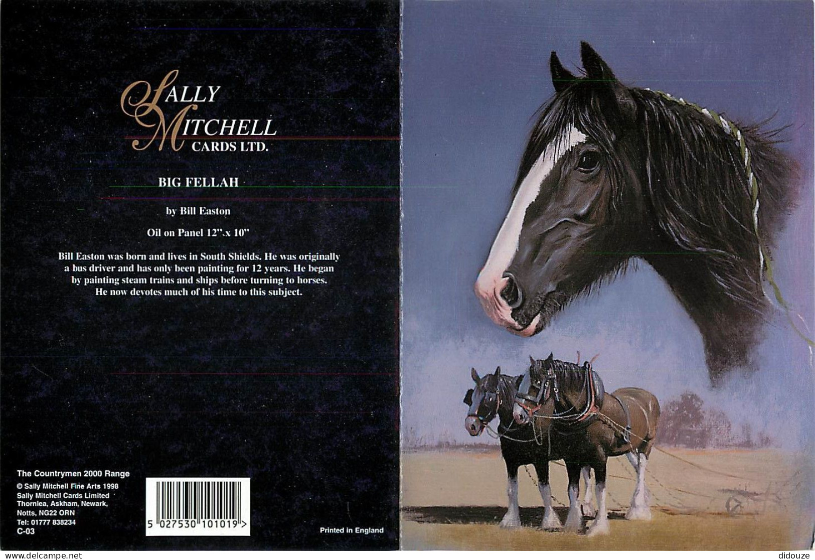 Format Spécial - 167 X 121 Mms Repliée - Animaux - Chevaux - Big Fellah By Bill Easton - Art Peinture - Carte Sally Mitc - Horses