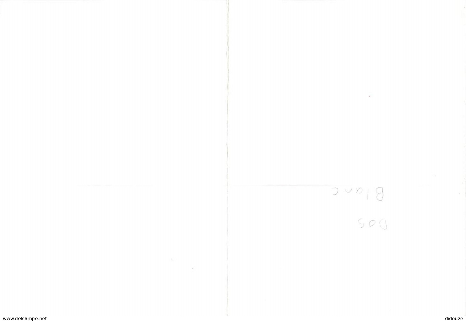 Format Spécial - 167 X 121 Mms Repliée - Animaux - Chevaux - Big Fellah By Bill Easton - Art Peinture - Carte Sally Mitc - Caballos