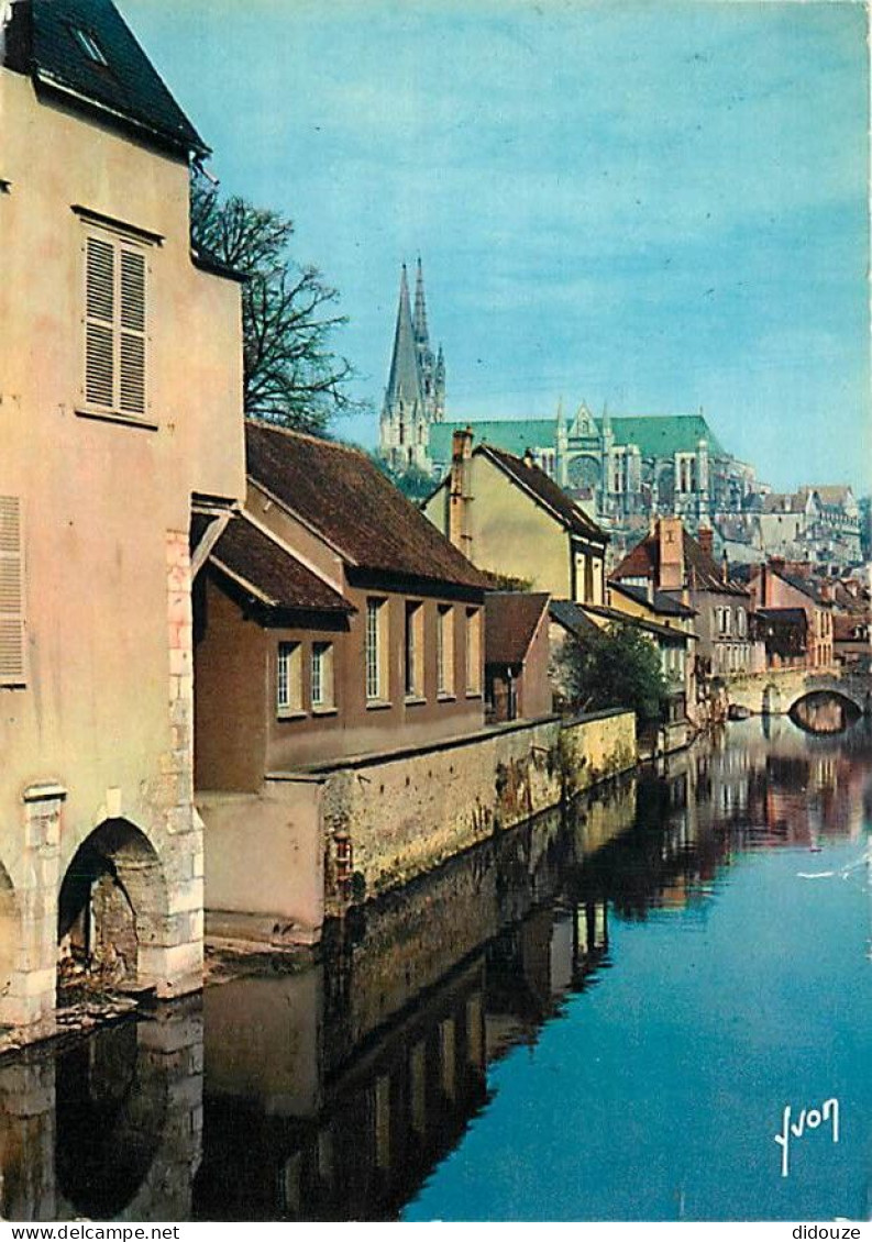 28 - Chartres - Les Rives De L'Eure Et La Calhédrale - CPM - Voir Scans Recto-Verso - Chartres