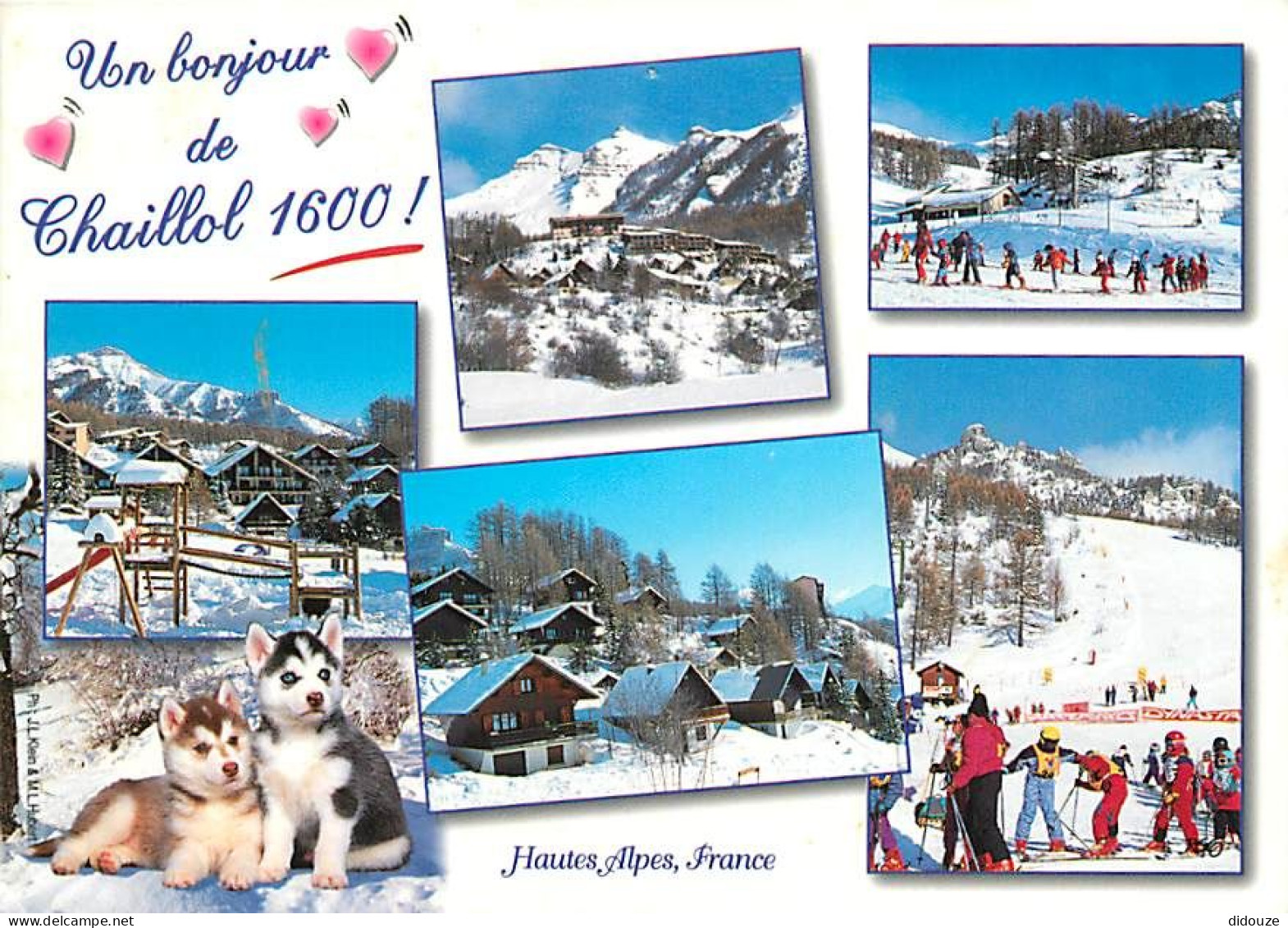 05 - Chaillol - Multivues - Hiver - Neige - Chiens Chiots Husky - CPM - Voir Scans Recto-Verso - Other & Unclassified