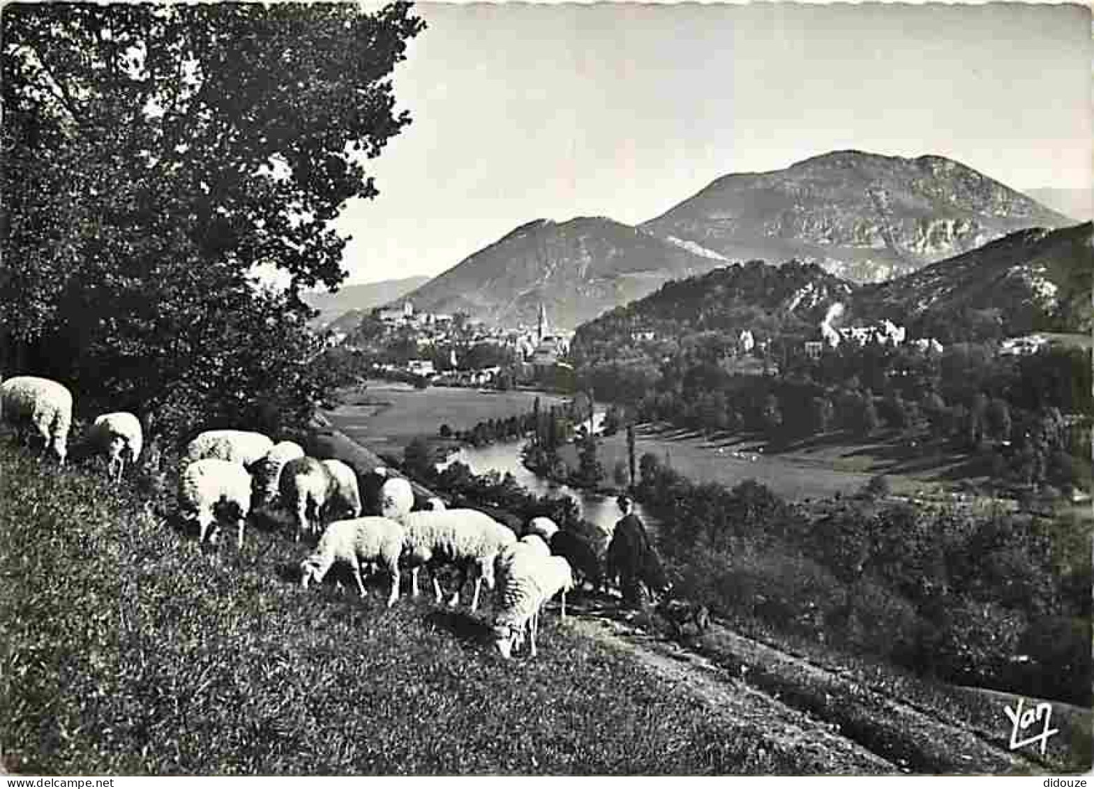 Animaux - Moutons - Lourds - La Vallée Et Le Pic Du Jer - CPM - Voir Scans Recto-Verso - Altri & Non Classificati