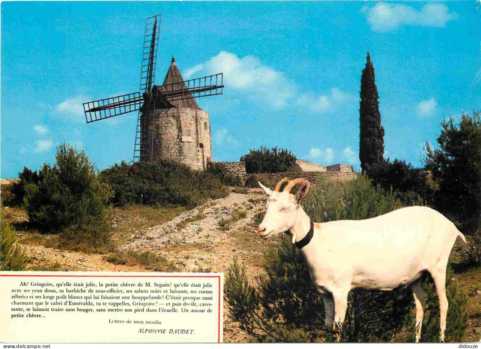 Animaux - Chèvres - Provence - Fontvieille - Le Moulin De Alphonse Daudet Et La Chèvre De Mr Seguin - CPM - Voir Scans R - Other & Unclassified