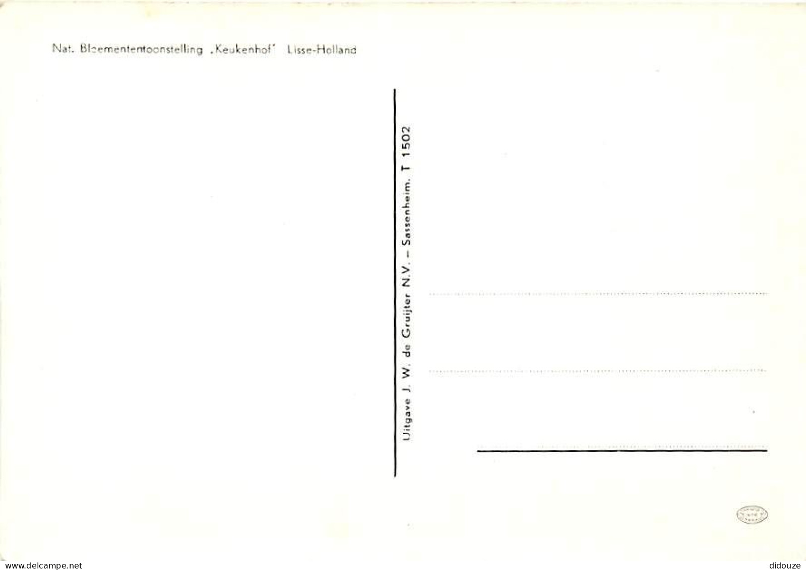 Pays-Bas - Nederland - Lisse - Keukenhof - Fleurs - CPM - Voir Scans Recto-Verso - Lisse