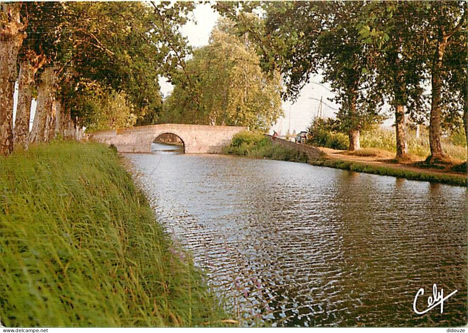 31 - Haute Garonne - Canal Du Midi - CPM - Voir Scans Recto-Verso - Autres & Non Classés