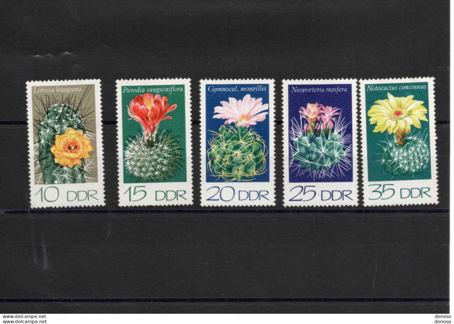 RDA 1974 Fleurs, Cactus  Yvert 1603-1607 NEUF** MNH - Nuevos
