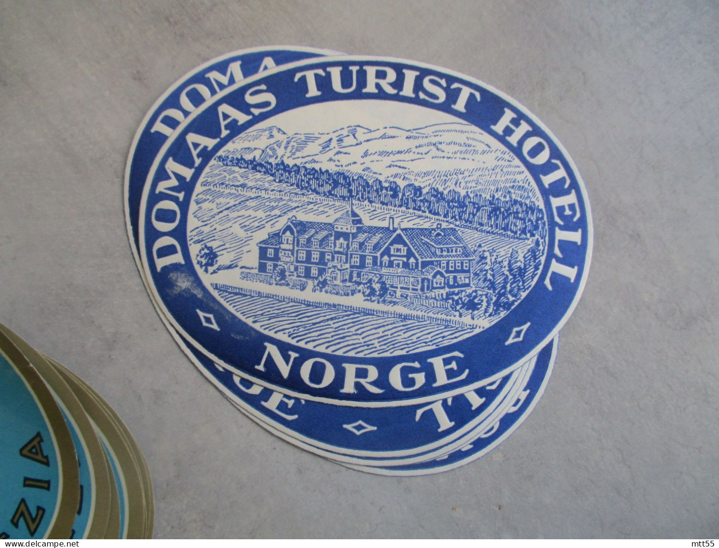 LOT DE 5 ETIQUETTE HOTEL HOTEL DOMAAS TURIST HOTEL NORGE NORVEGE - Hotel Labels