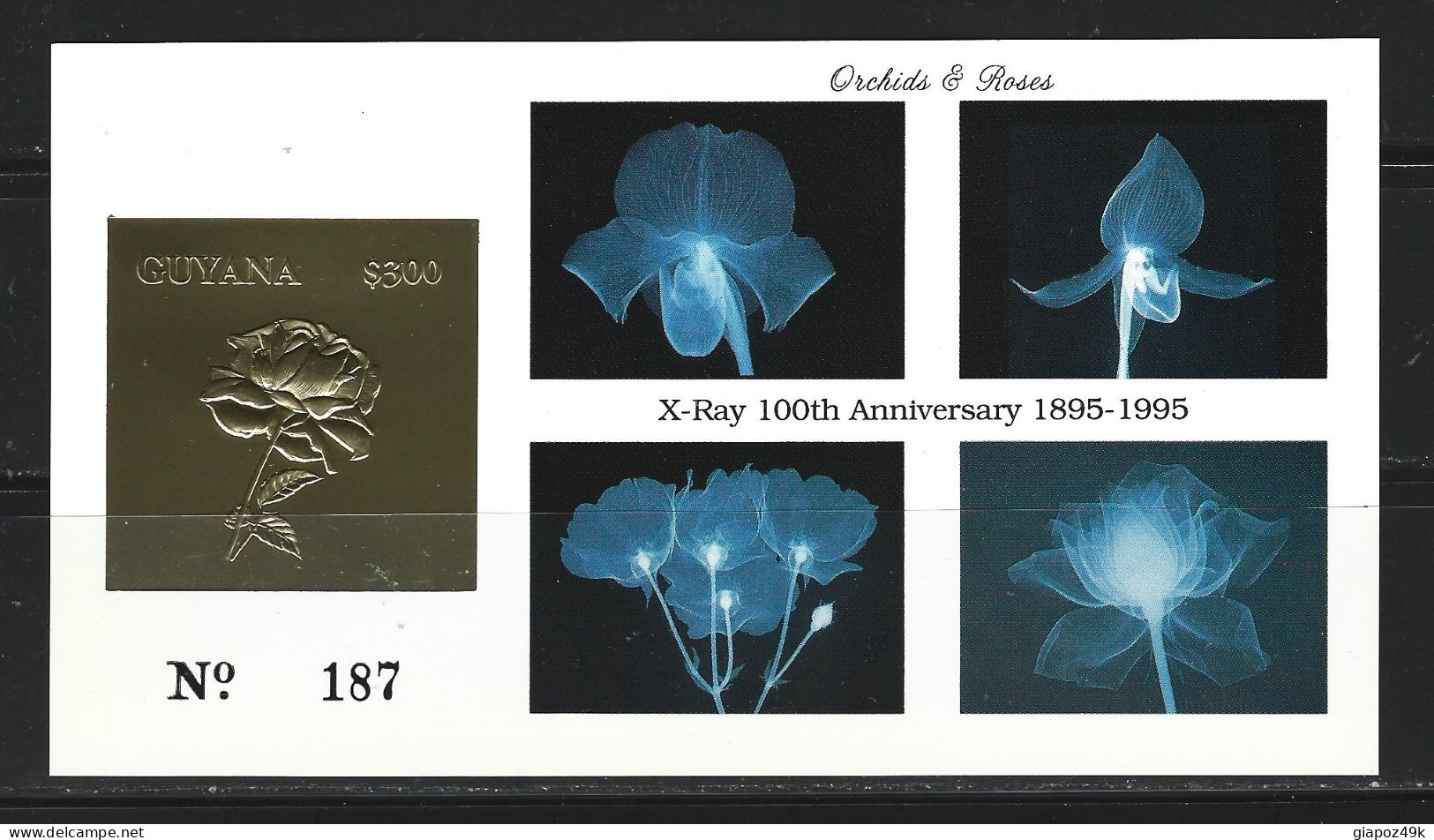 ● GUYANA 1994 ️️֍ ORCHIDEA ֍ Orchids ● Non Perforati Cartonati ● 4 BF Valori In Lamina Oro Gold ️● Numerati ● L. XX ️● - Guiana (1966-...)