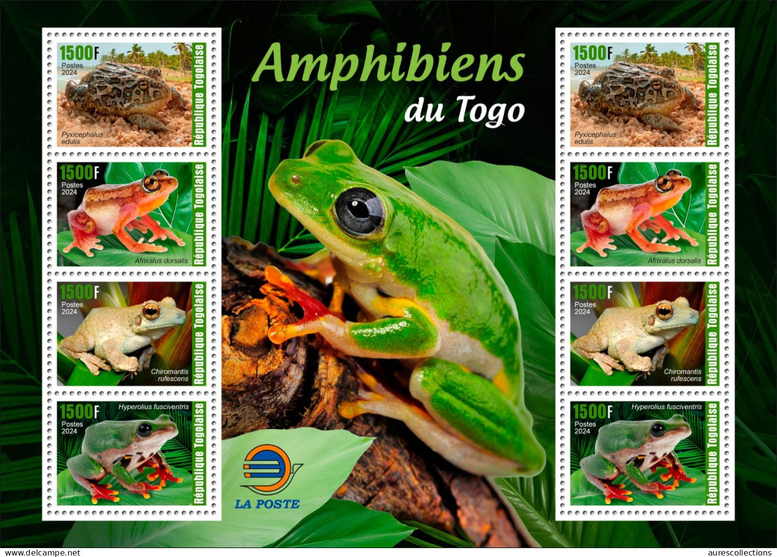 TOGO 2024 PACK OF 6 MS - REG & OVERPRINT - AMPHIBIANS & REPTILES - FROG FROGS TURTLE TURTLES SNAKES CROCODILE - MNH - Tortues