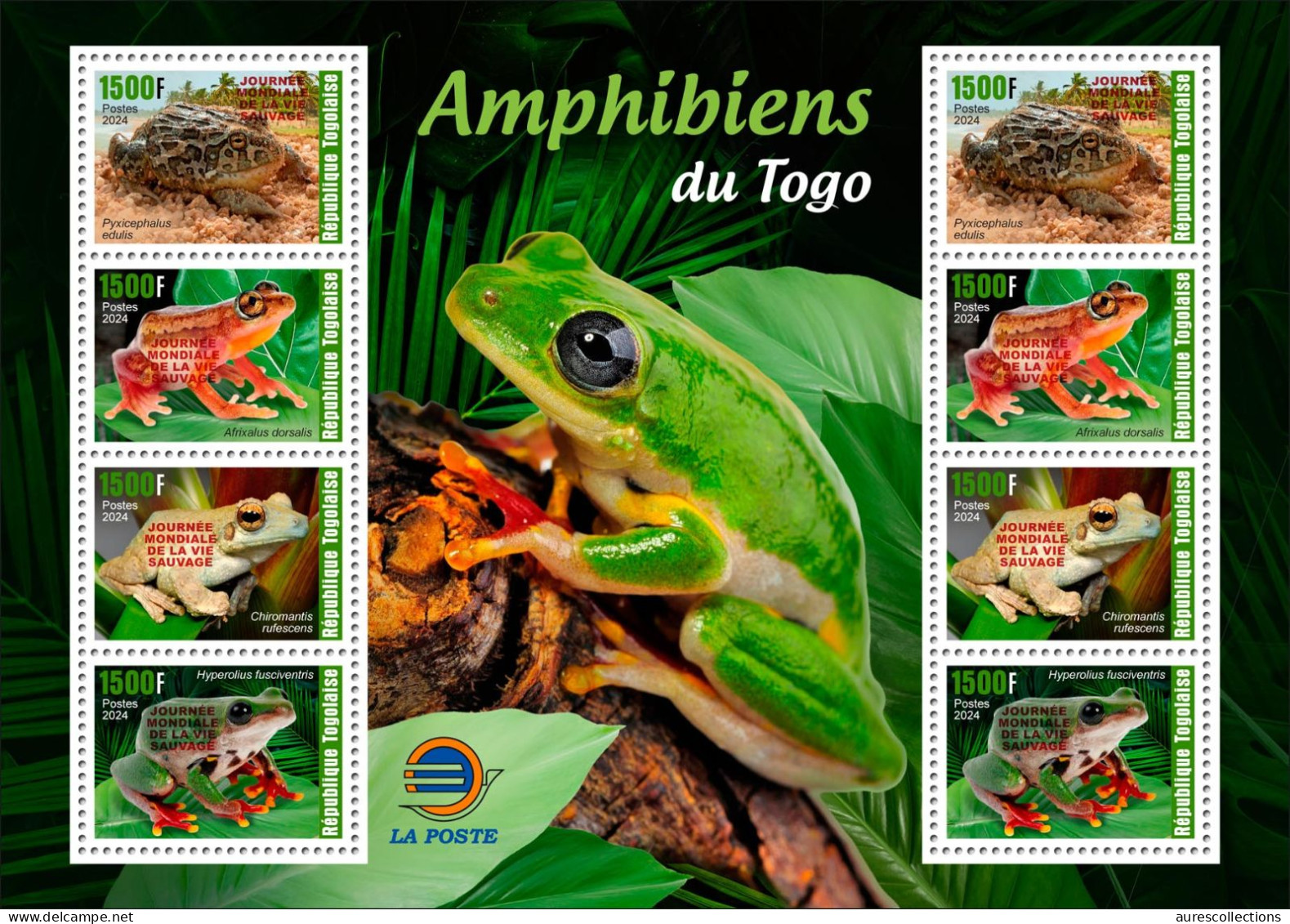 TOGO 2024 PACK OF 6 MS - REG & OVERPRINT - AMPHIBIANS & REPTILES - FROG FROGS TURTLE TURTLES SNAKES CROCODILE - MNH