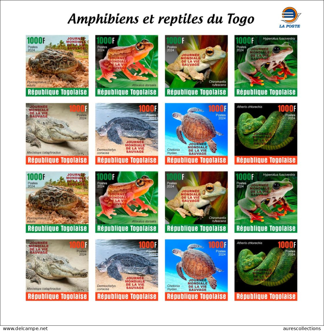 TOGO 2024 PACK 6 MS IMPERF - REG & OVERPRINT - AMPHIBIANS & REPTILES - FROG FROGS TURTLE TURTLES SNAKES CROCODILE - MNH - Tortugas