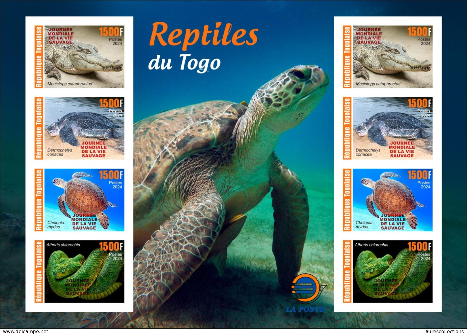 TOGO 2024 PACK 6 MS IMPERF - REG & OVERPRINT - AMPHIBIANS & REPTILES - FROG FROGS TURTLE TURTLES SNAKES CROCODILE - MNH