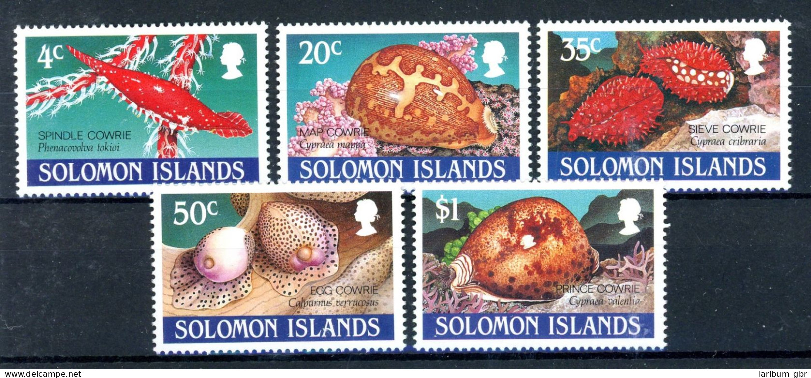 Salomon Inseln 726-730 Postfrisch Muscheln/ Schnecken #JP195 - Isole Salomone (1978-...)