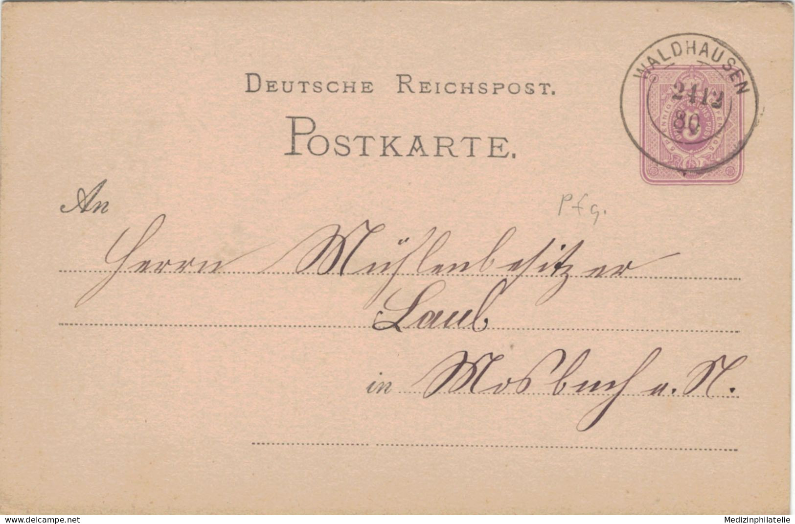 Ganzsache 5 Pfennig - Zweikreisstempel Waldhausen 1880 > Mühlenbesitzer Laub Mosbach Neckar - Cartes Postales