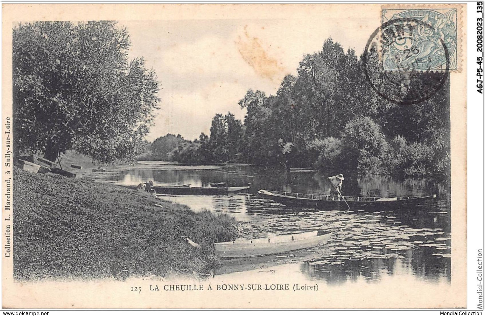 AGJP5-0439-45 - La Cheuille A Bonny-sur-loire - Loiret  - Other & Unclassified