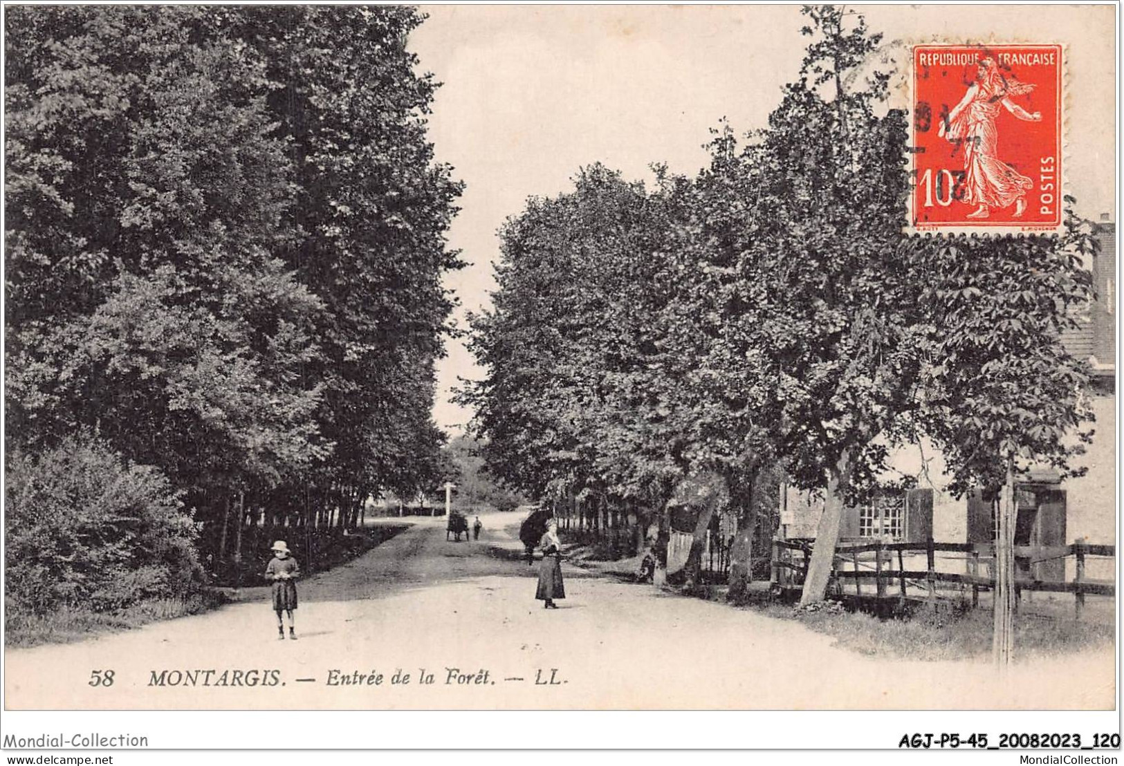 AGJP5-0431-45 - MONTARGIS - Entrée De La Foret  - Montargis