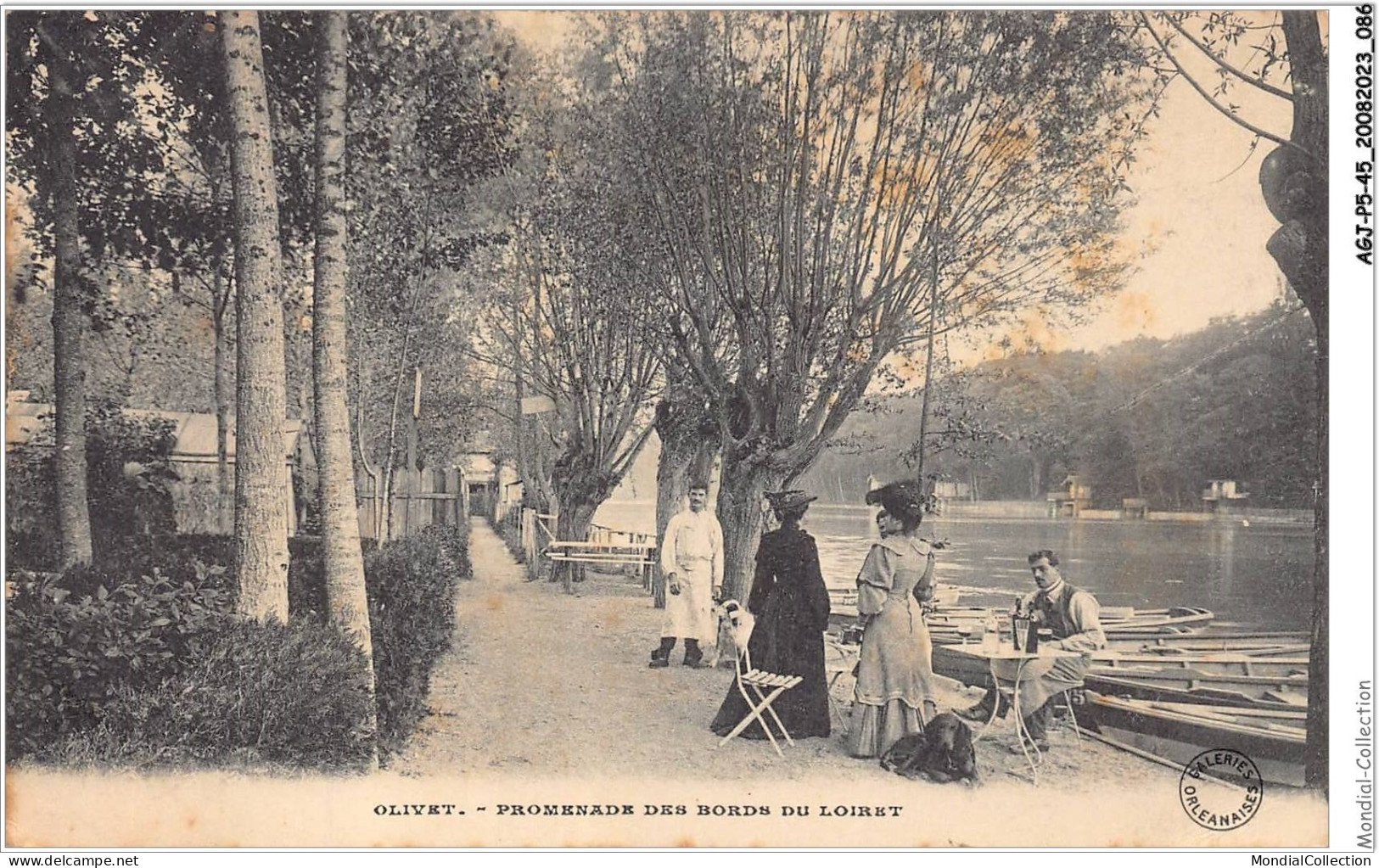 AGJP5-0414-45 - OLIVET - Promenade Des Bords Du Loiret  - Orleans