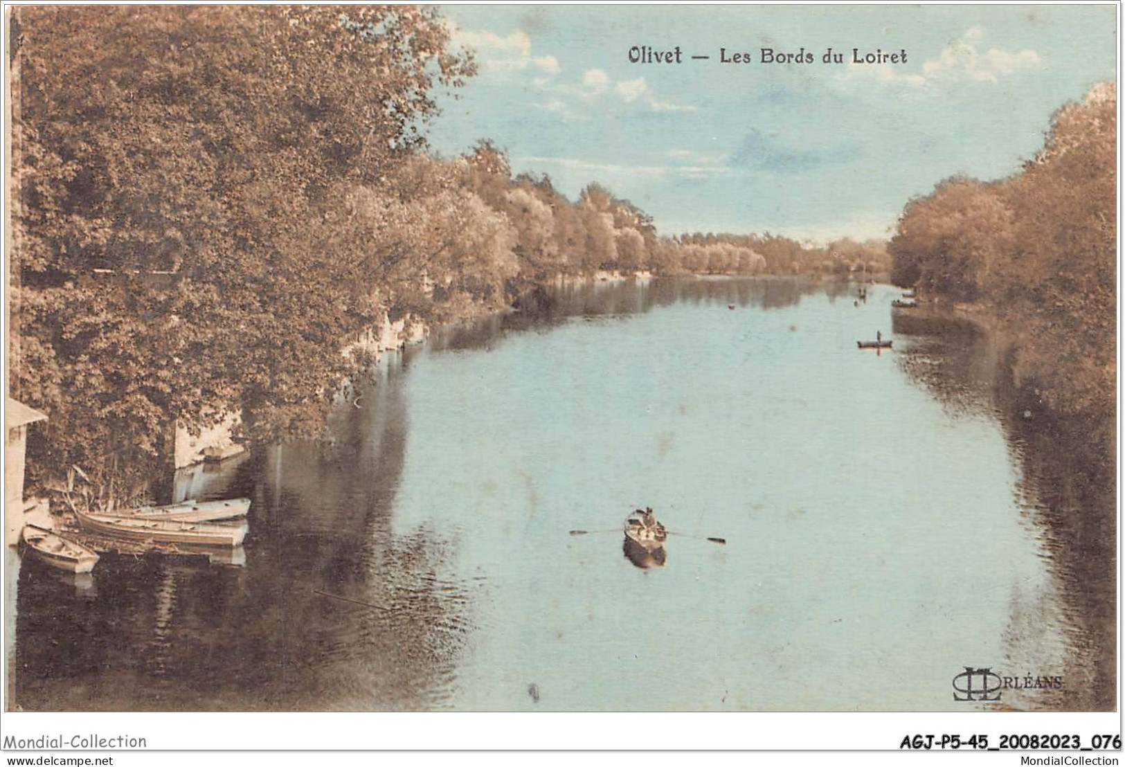 AGJP5-0409-45 - OLIVET - Les Bords Du Loiret   - Orleans