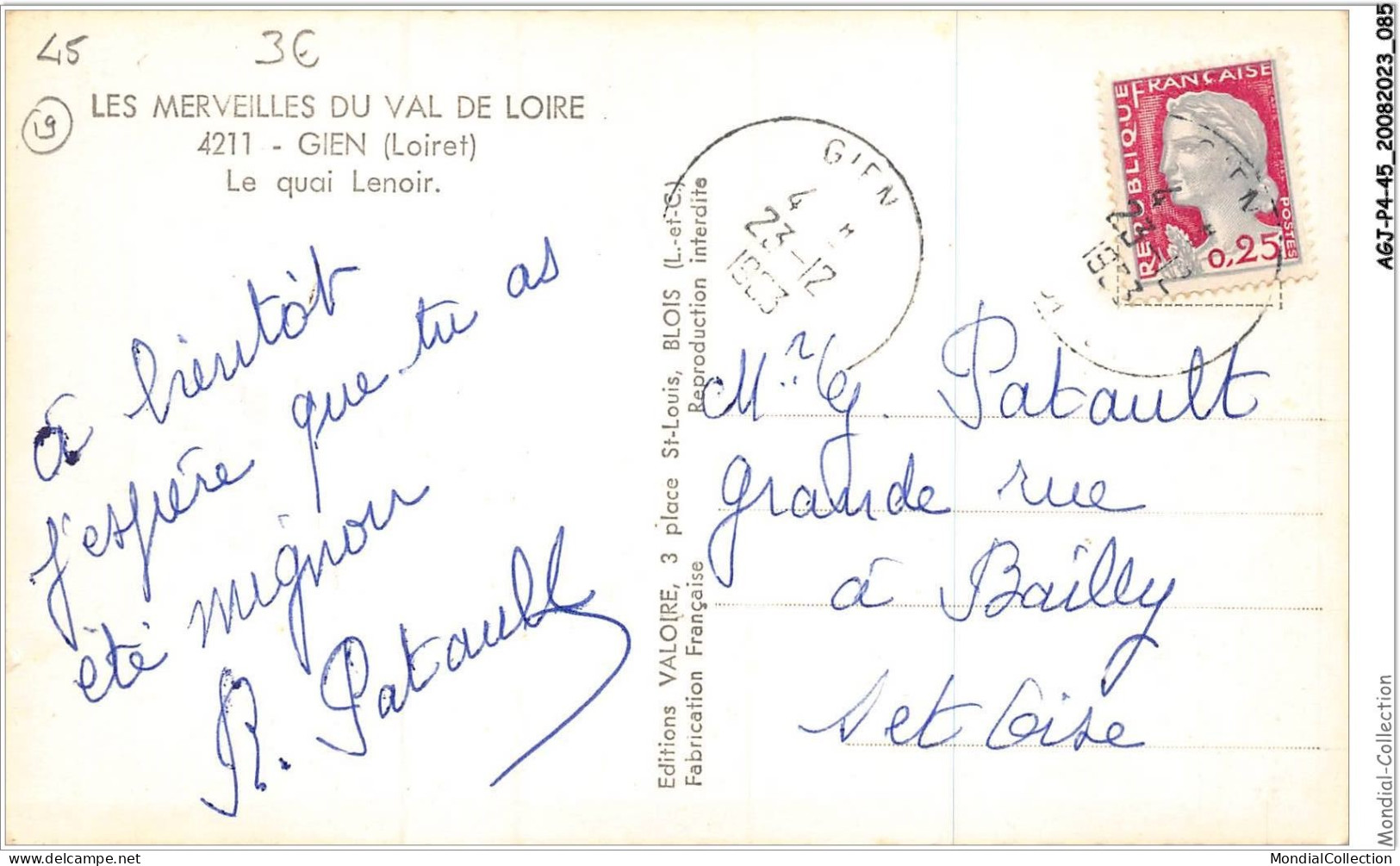 AGJP4-0314-45 - Les Merveilles Du Val De Loire - GIEN - Loiret - Le Quoi Lenoir  - Gien