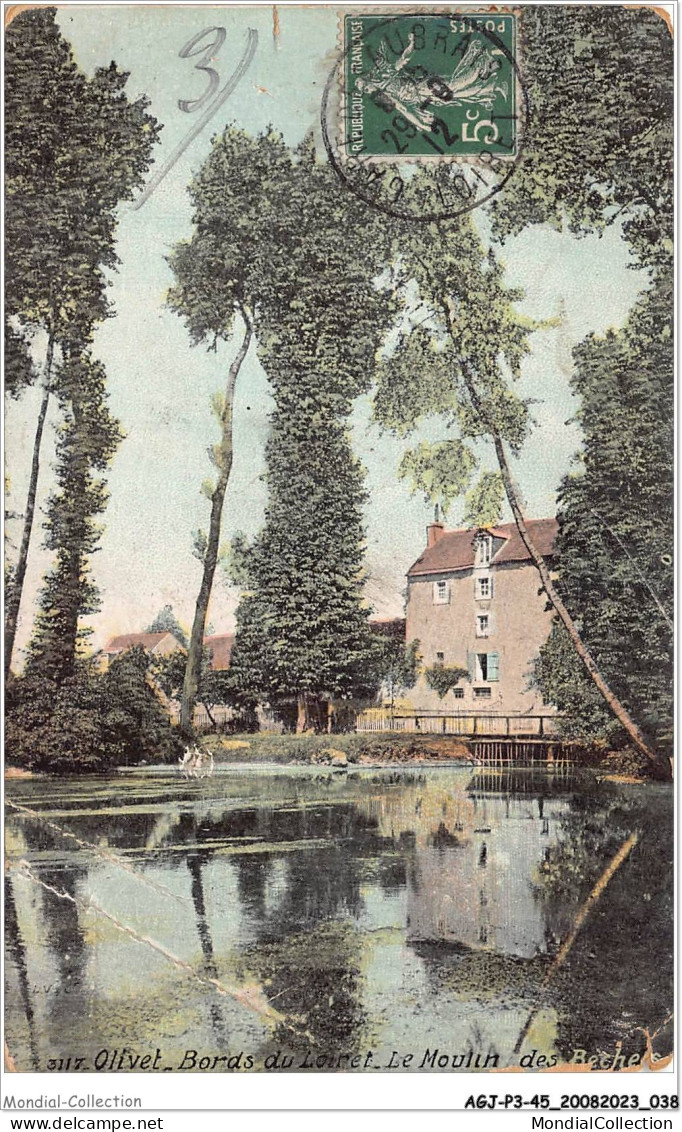 AGJP3-0195-45 - OLIVET - Bords Du Loiret - Le Moulin Des Bèches  - Orleans