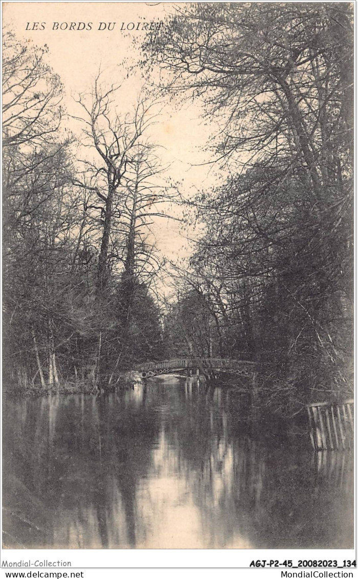 AGJP2-0151-45 - Les Bords Du LOIRET  - Orleans