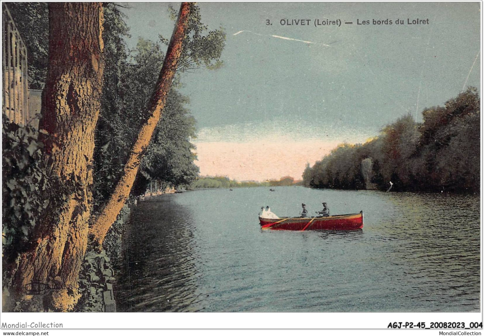 AGJP2-0086-45 - OLIVET - Loiret - Les Bords Du Loiret - Orleans