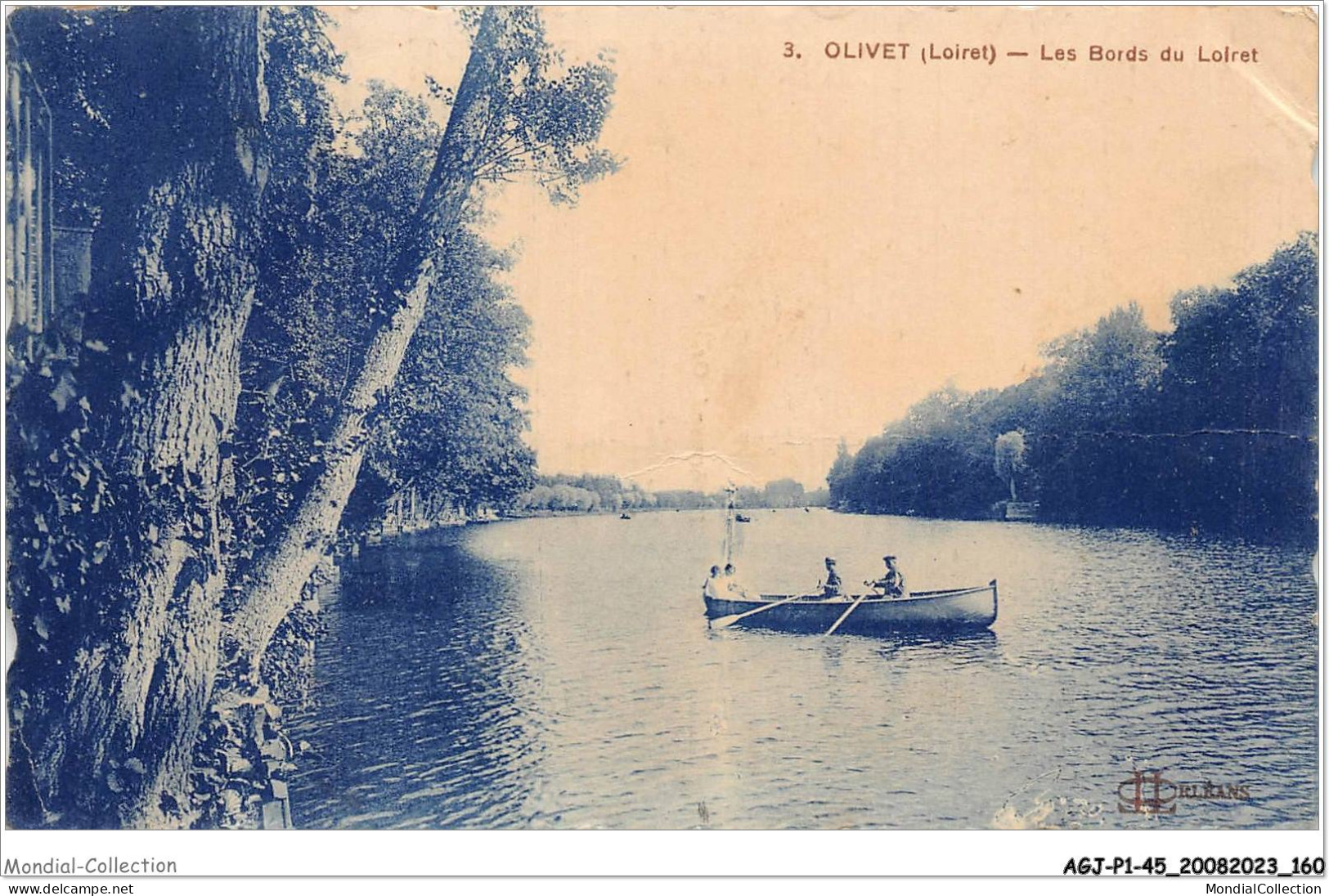 AGJP1-0081-45 - OLIVET - Loiret - Les Bords Du Loiret   - Orleans