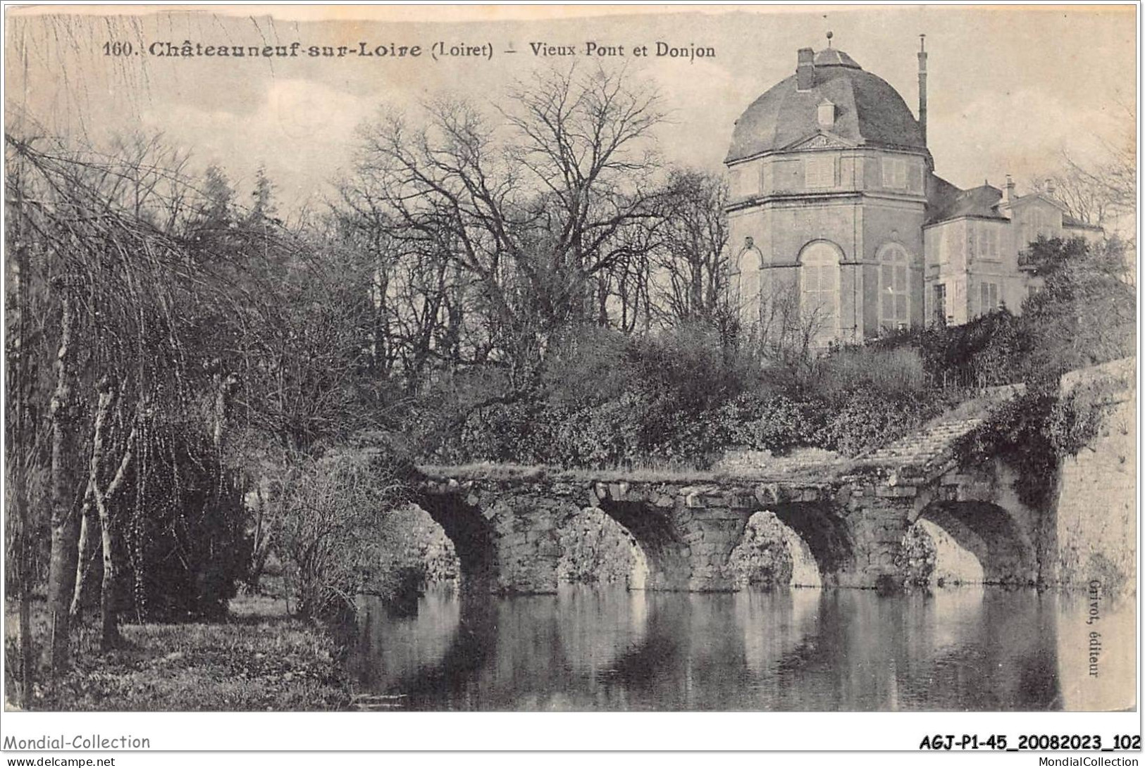 AGJP1-0052-45 - CHATEAUNEUF-SUR-LOIRE - Loiret - Vieux Pont Et Donjon  - Autres & Non Classés