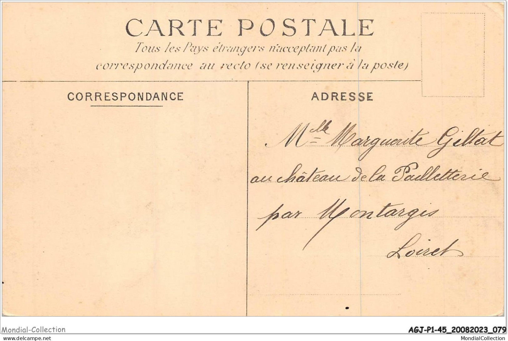 AGJP1-0040-45 - Vue Du Derrière Du Chateau De CHALETTE  - Other & Unclassified
