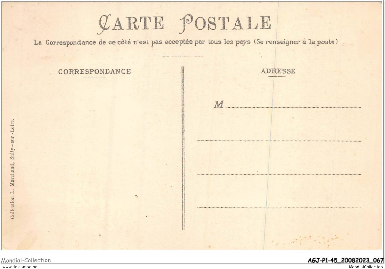 AGJP1-0034-45 - DAMMAIRIE-EN-PUISSAYE - Loiret - Le Château  - Autres & Non Classés