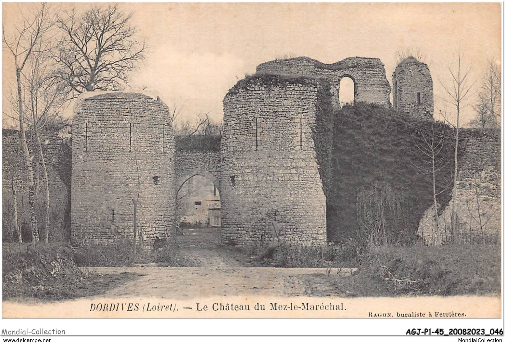 AGJP1-0024-45 - DORDIVES - Loiret - Le Chateau Du Mez-le-maréchal  - Dordives