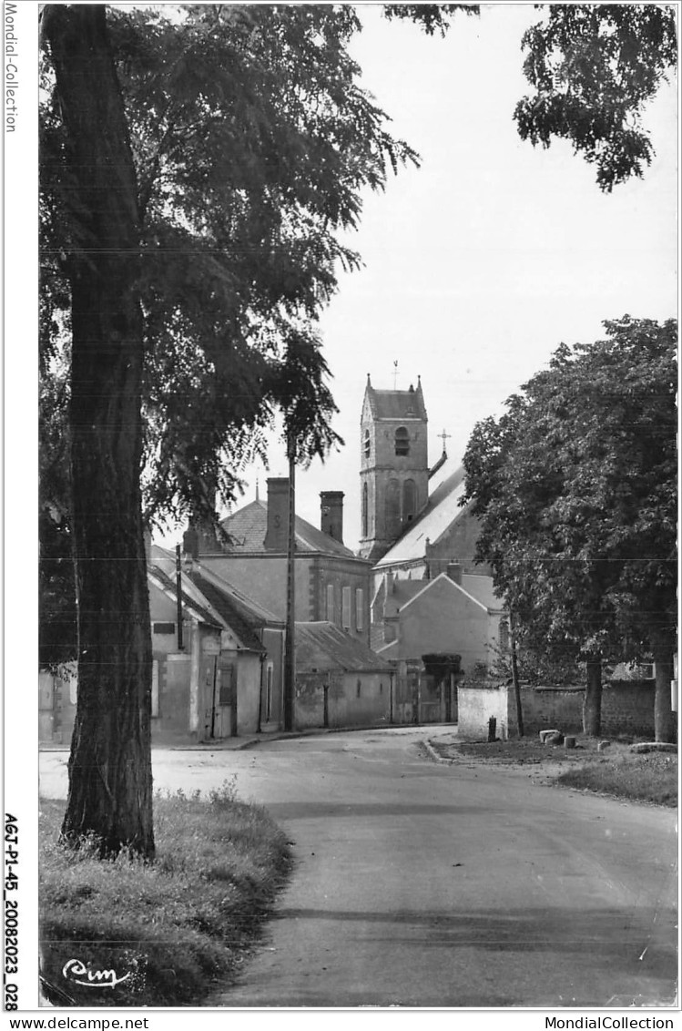 AGJP1-0015-45 - SERMAISES-DU-LOIRET - Loiret - Route De Malesherbes  - Pithiviers