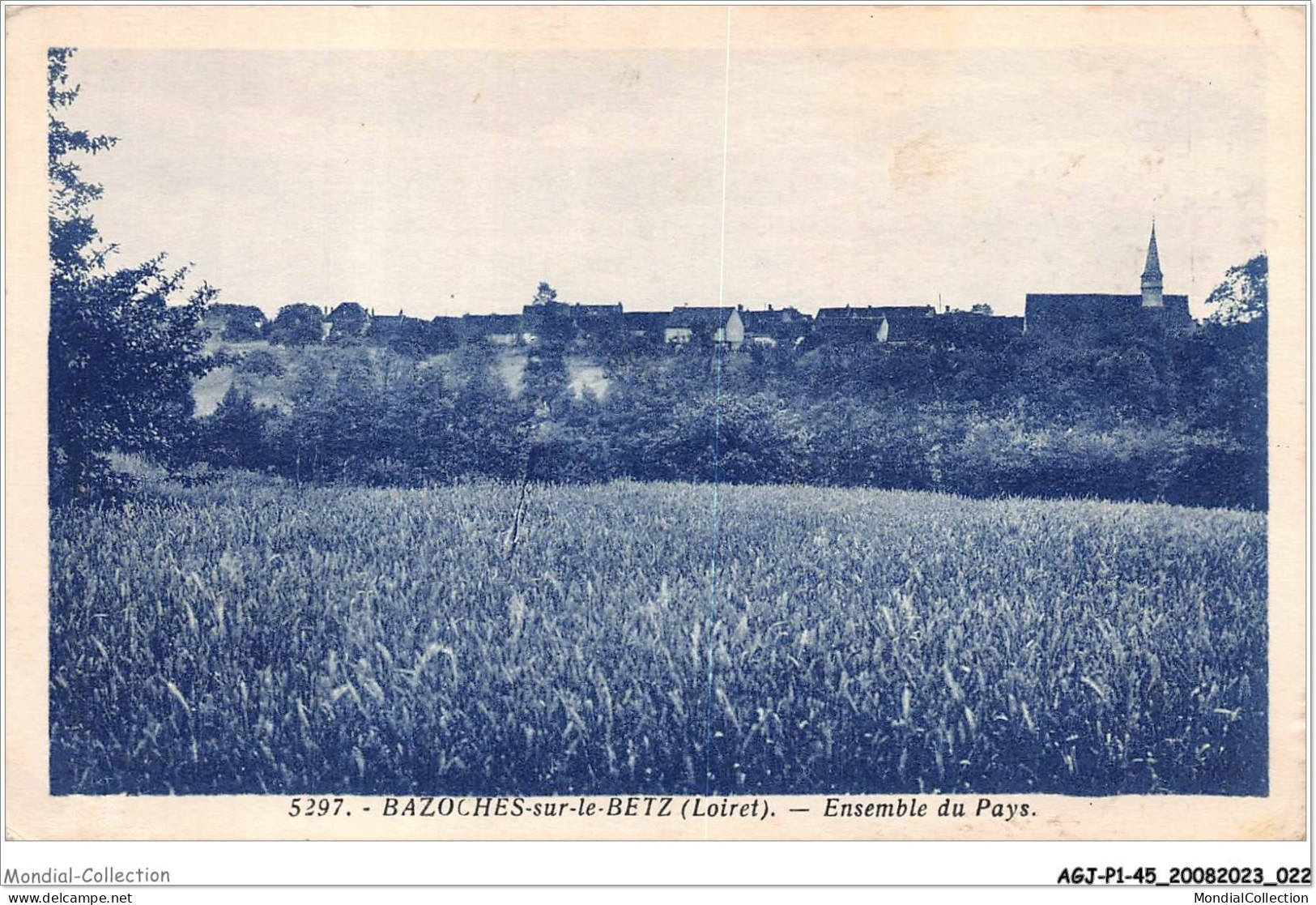 AGJP1-0012-45 - BAZOCHES-SUR-LE-BETZ - Loiret - Ensemble Du Pays  - Montargis