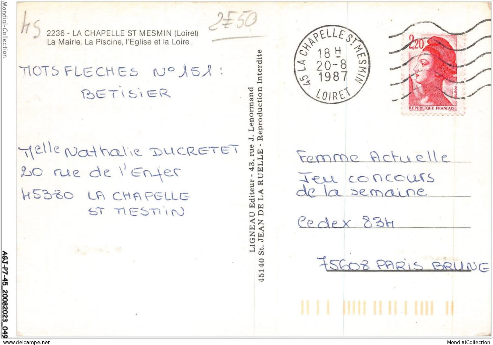 AGJP7-0584-45 - LA CHAPELLE ST MESMIN - Loiret - La Mairei - La Piscine - L'église Et La Loire   - Andere & Zonder Classificatie