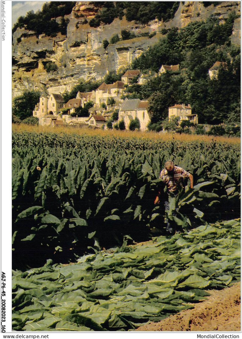 AGJP6-0535-45 - Vallée De La Dordogne - La ROQUE-GAGEAC - Dordogne - Récolte Du Tabac - Sonstige & Ohne Zuordnung