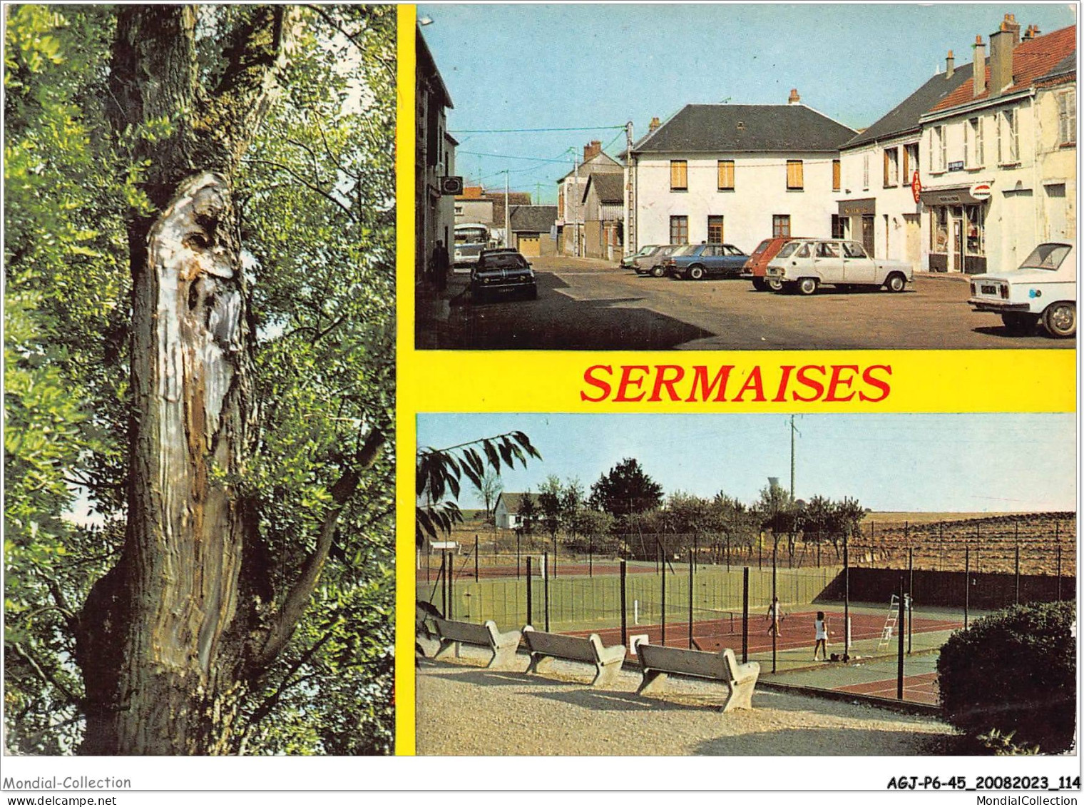 AGJP6-0512-45 - SERMAISES DU LOIRET  - Autres & Non Classés