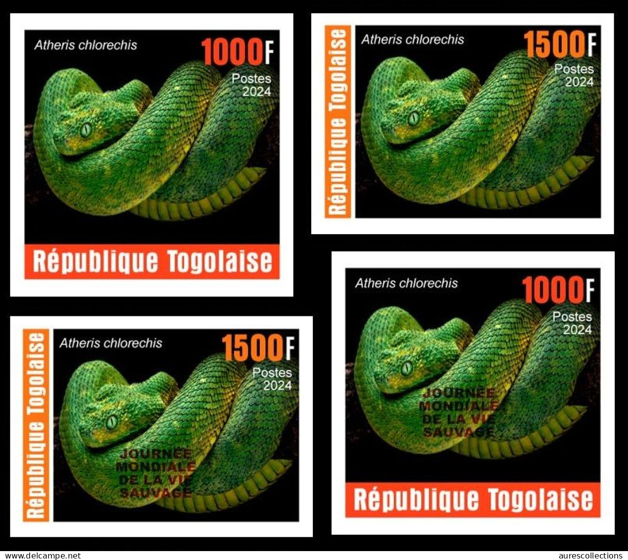 TOGO 2024 SET 4V IMPERF - REG & OVERPRINT - REPTILES - SNAKE SNAKES SERPENTS - MNH - Serpientes