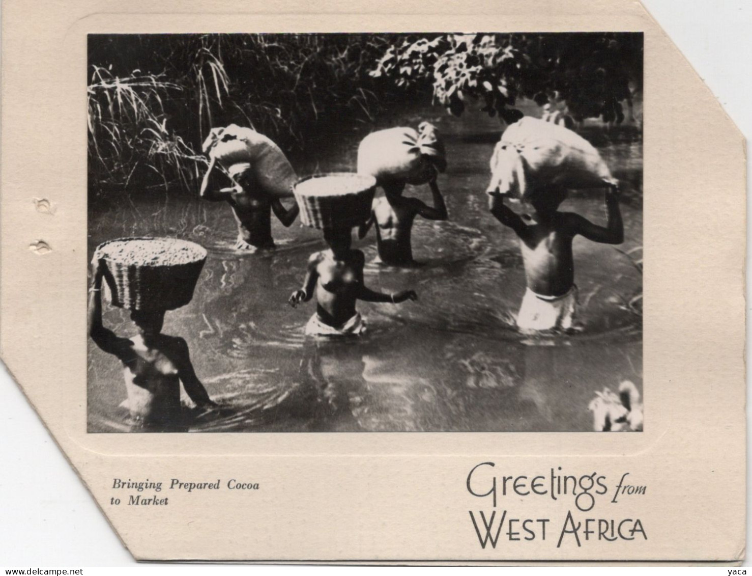 Bringing Prepared Cocoa To Market - Greetings From West Africa - Marchés