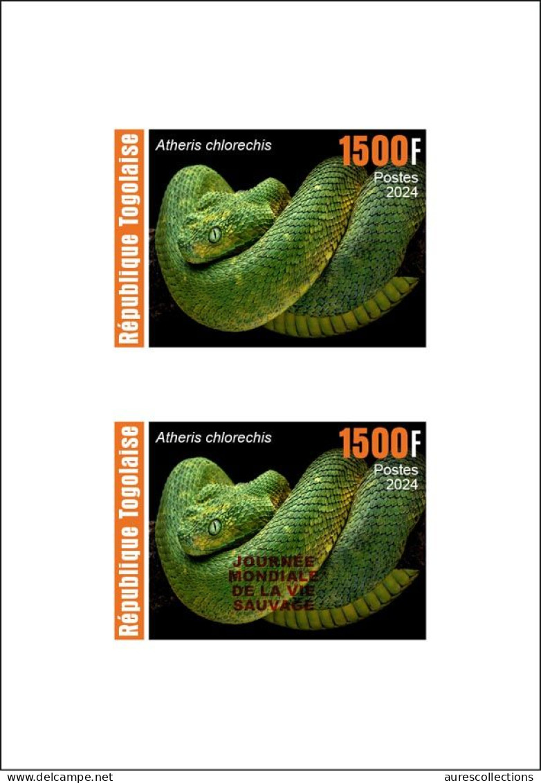 TOGO 2024 DELUXE PROOF - REG & OVERPRINT - REPTILES - SNAKE SNAKES SERPENTS - Slangen