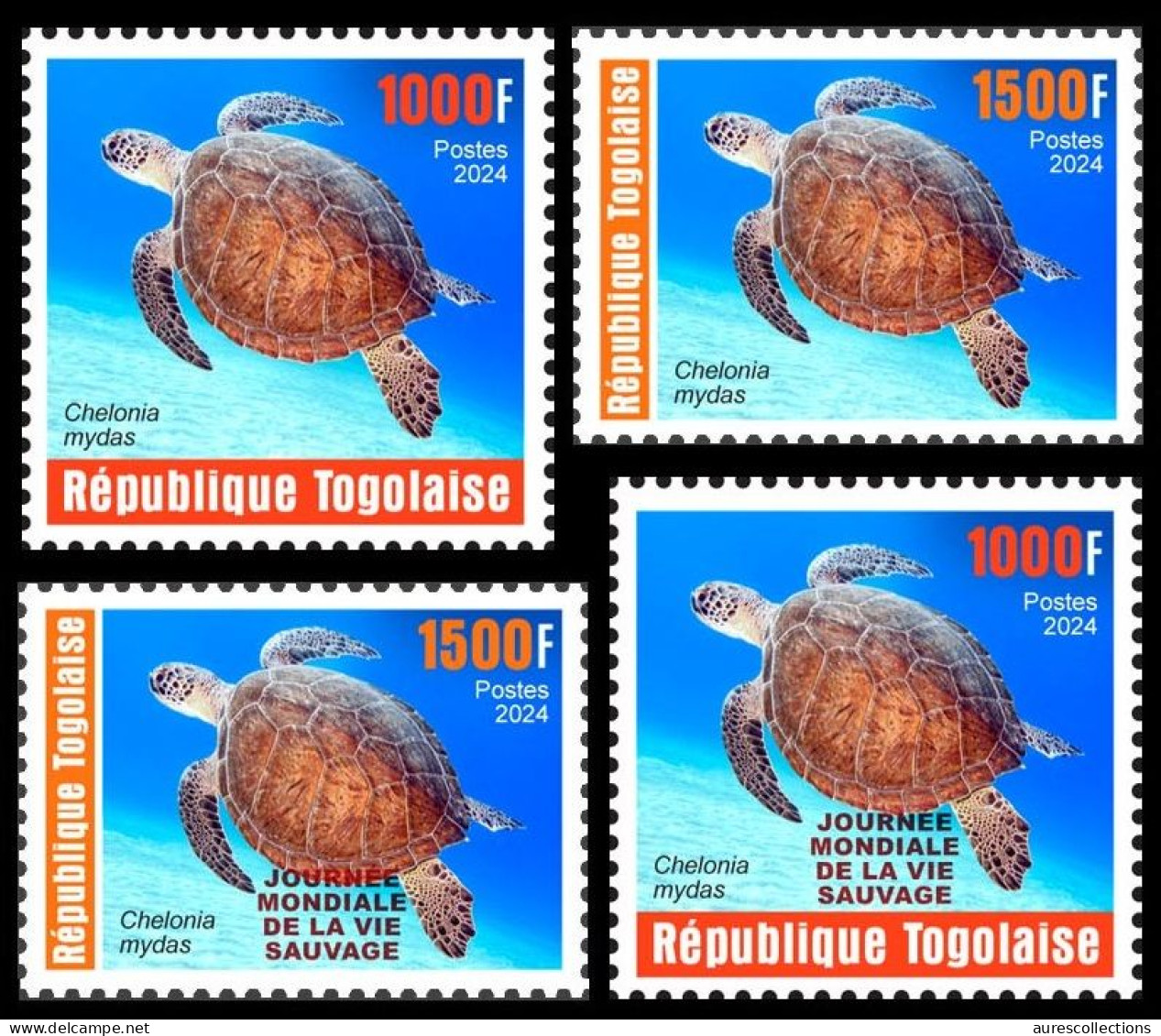 TOGO 2024 SET 4V - REG & OVERPRINT - REPTILES - GREEN TURTLE TURTLES TORTUE VERTE TORTUES - MNH - Tartarughe