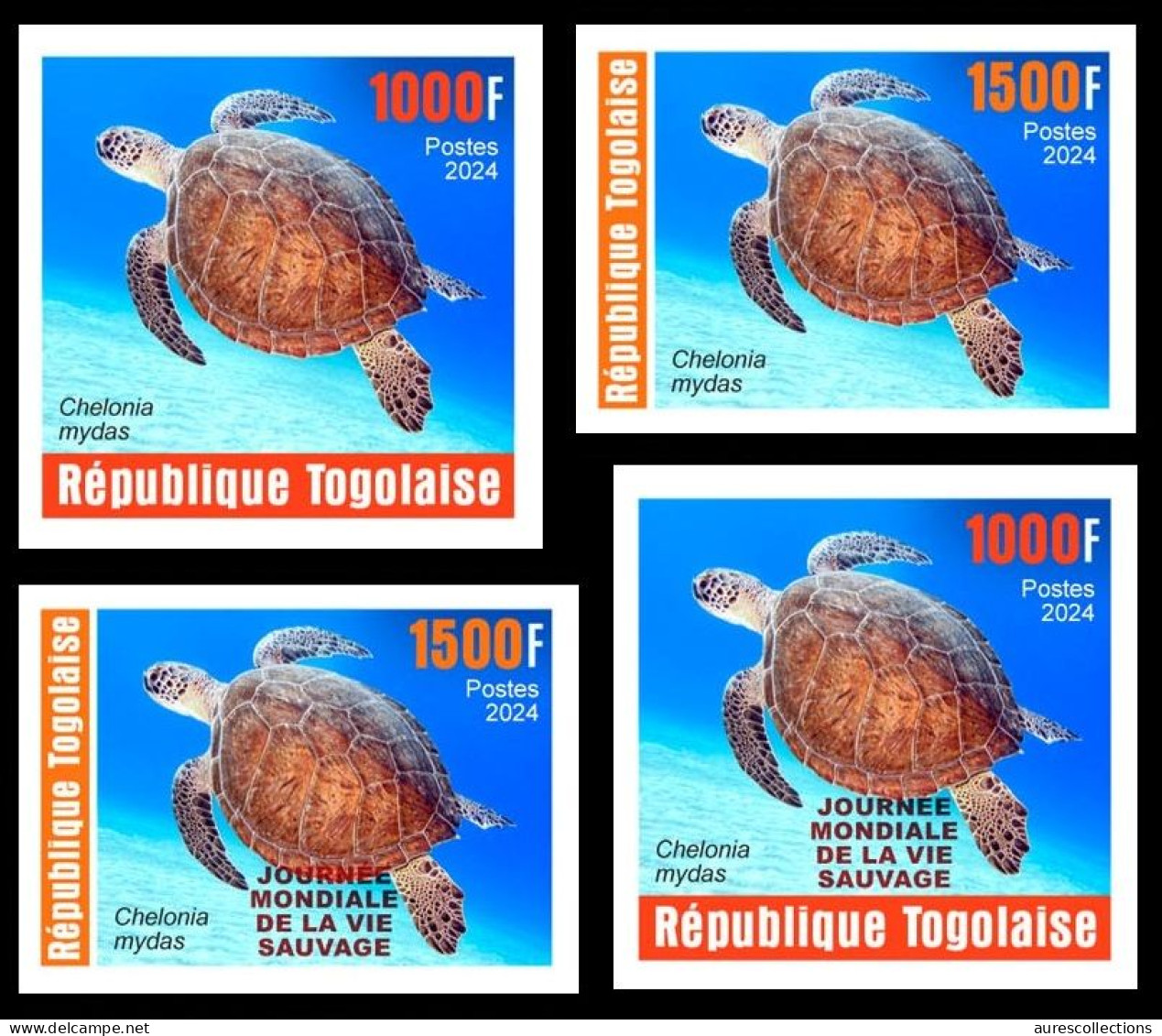 TOGO 2024 SET 4V IMPERF - REG & OVERPRINT - REPTILES - GREEN TURTLE TURTLES TORTUE VERTE TORTUES - MNH - Schildpadden