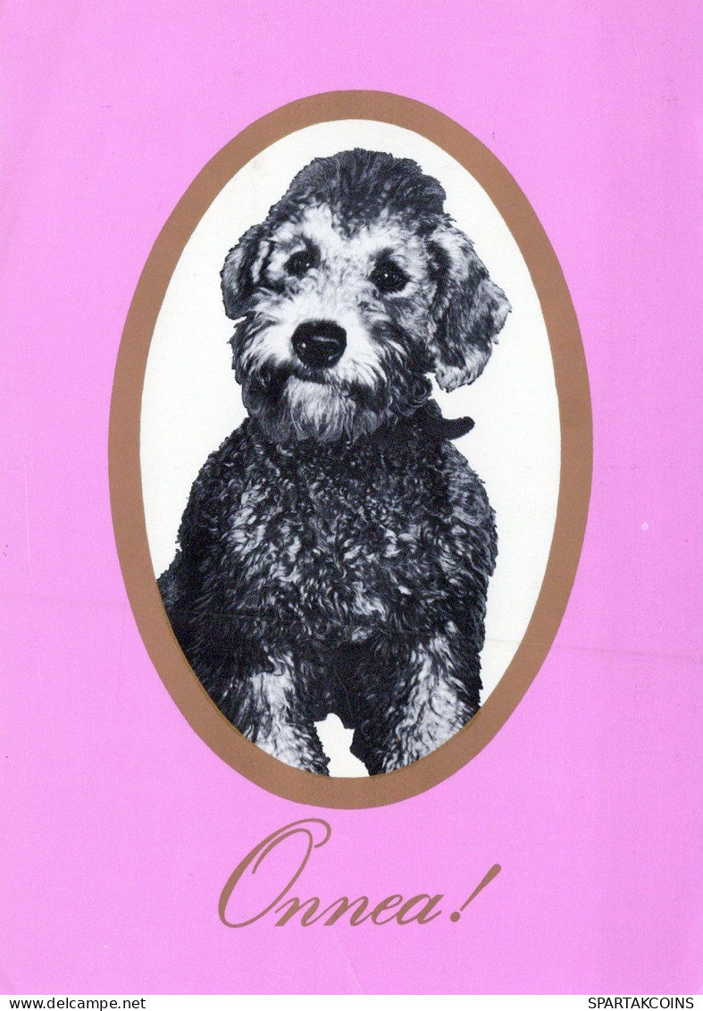 PERRO Animales Vintage Tarjeta Postal CPSM #PAN933.A - Chiens