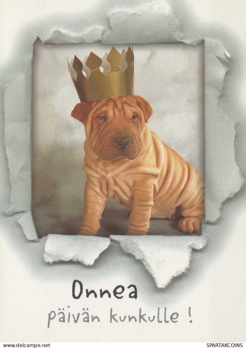 PERRO Animales Vintage Tarjeta Postal CPSM #PAN753.A - Honden