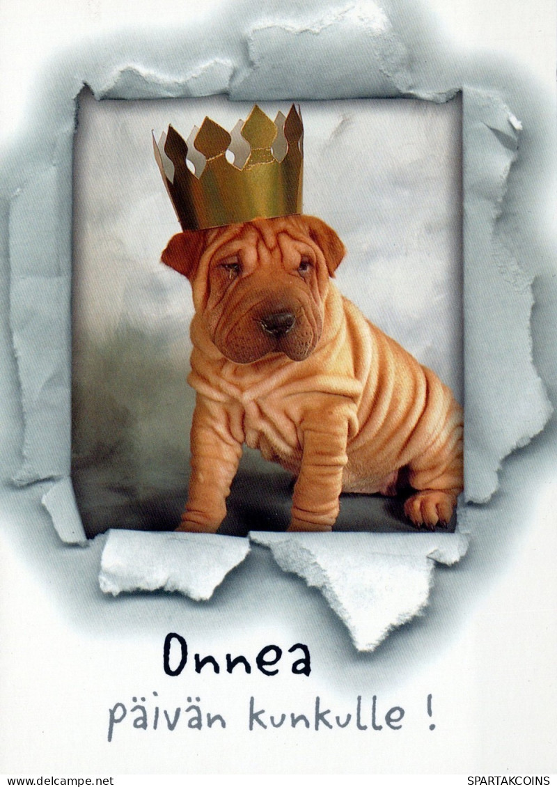 PERRO Animales Vintage Tarjeta Postal CPSM #PAN753.A - Dogs