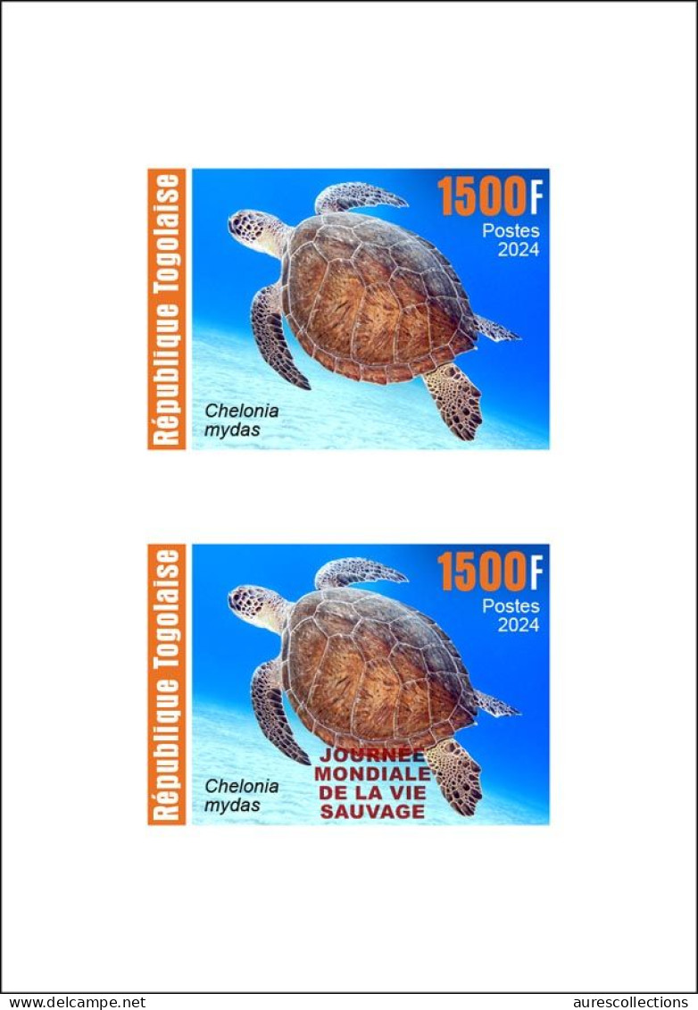 TOGO 2024 DELUXE PROOF - REG & OVERPRINT - REPTILES - GREEN TURTLE TURTLES TORTUE VERTE TORTUES - Schildkröten