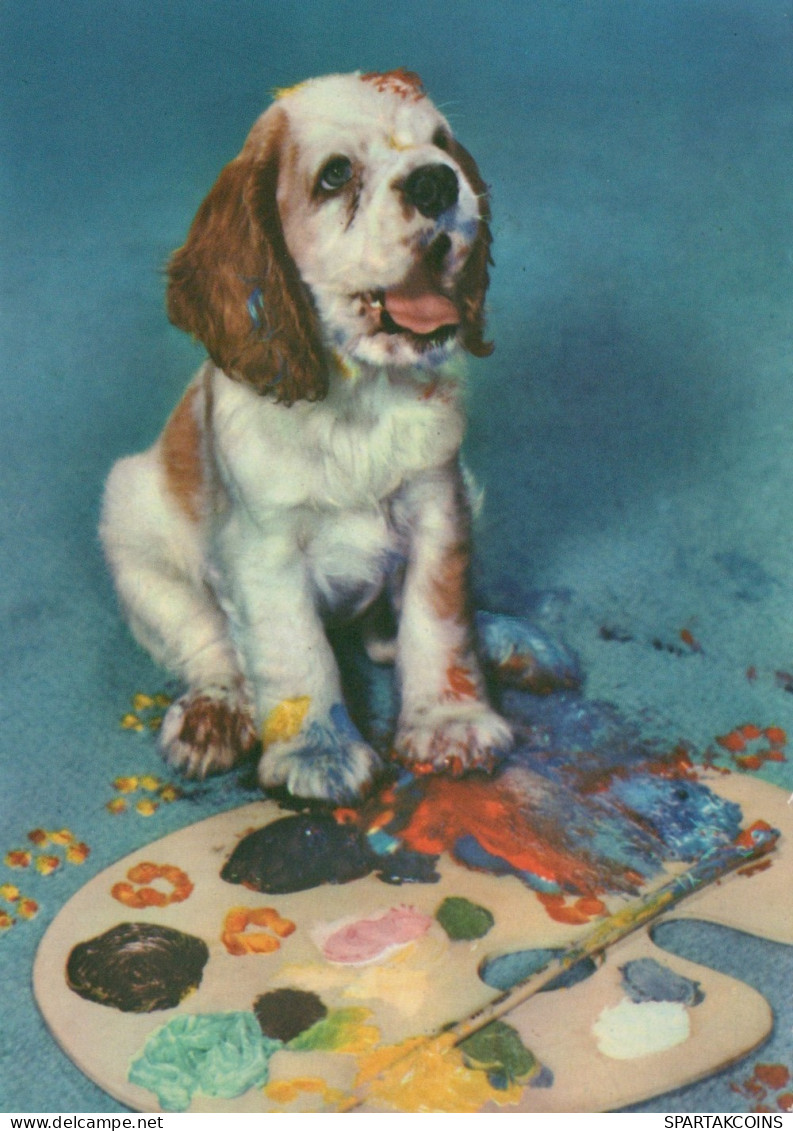 HUND Tier Vintage Ansichtskarte Postkarte CPSM #PAN521.A - Honden