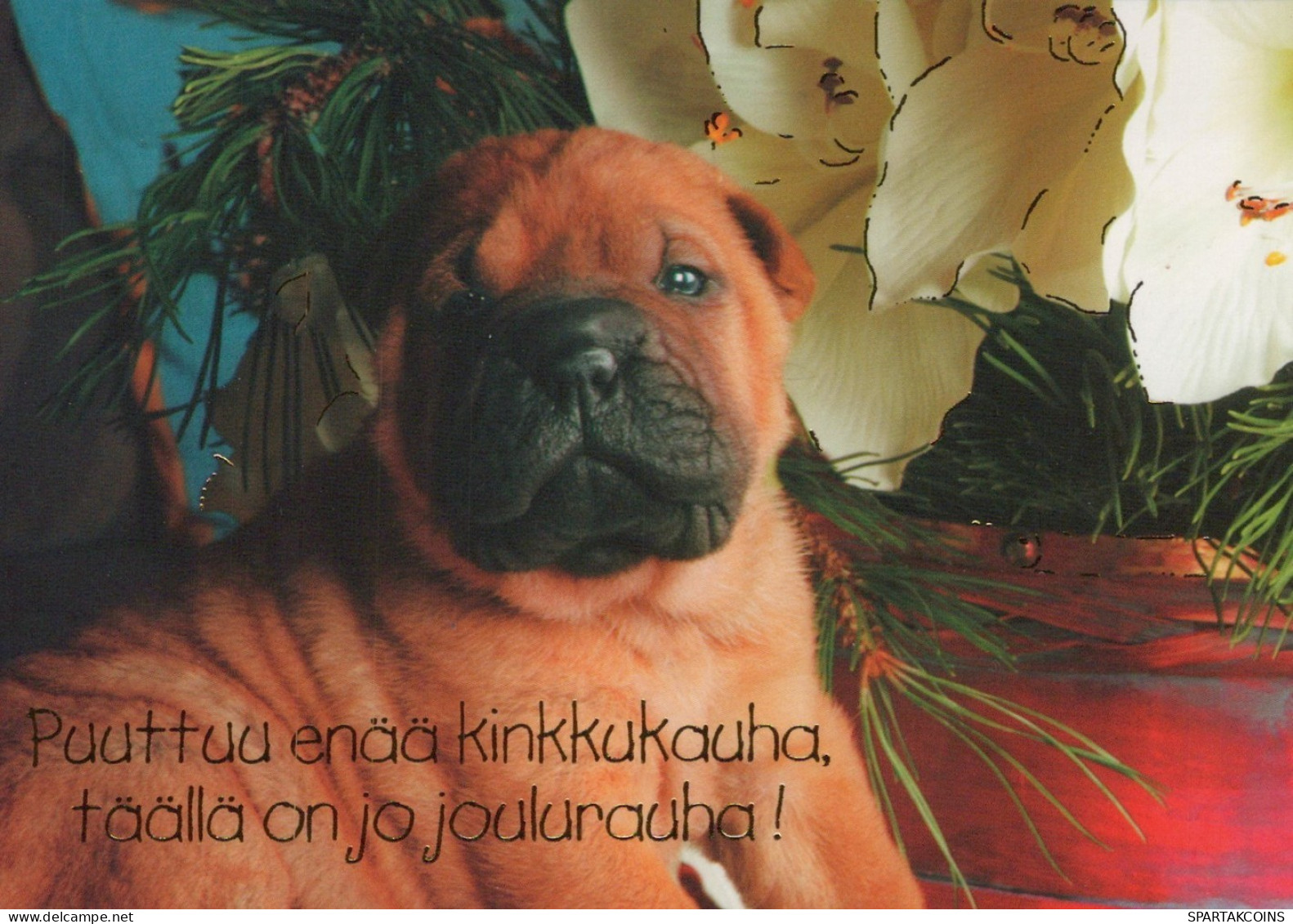 PERRO Animales Vintage Tarjeta Postal CPSM #PAN518.A - Hunde