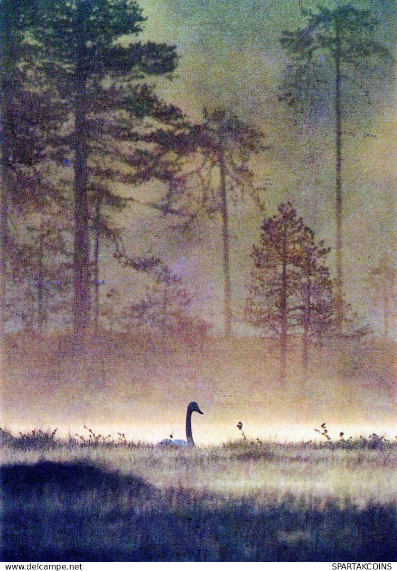VOGEL Tier Vintage Ansichtskarte Postkarte CPSM #PAN396.A - Oiseaux