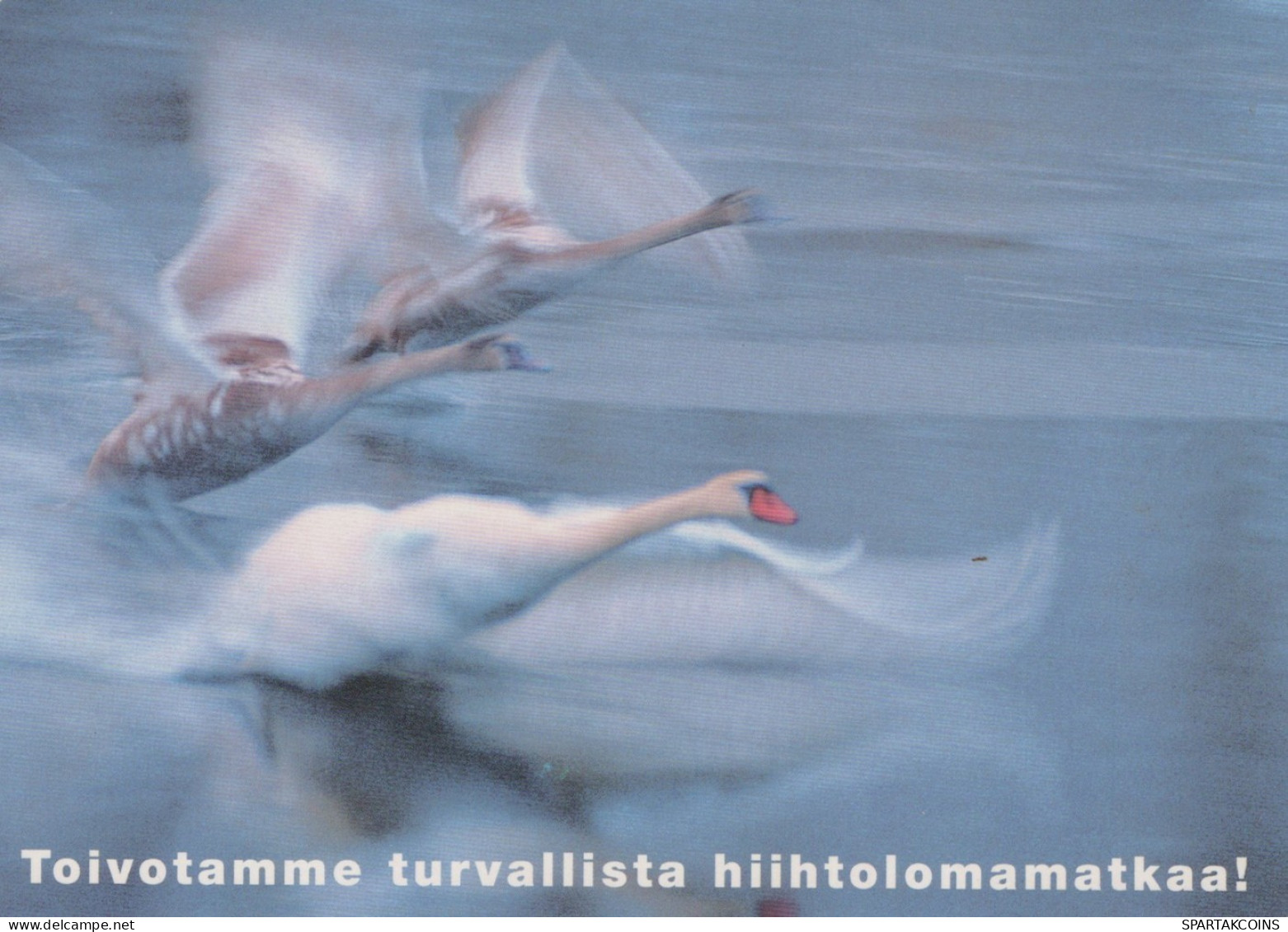 OISEAU Animaux Vintage Carte Postale CPSM #PAN285.A - Birds
