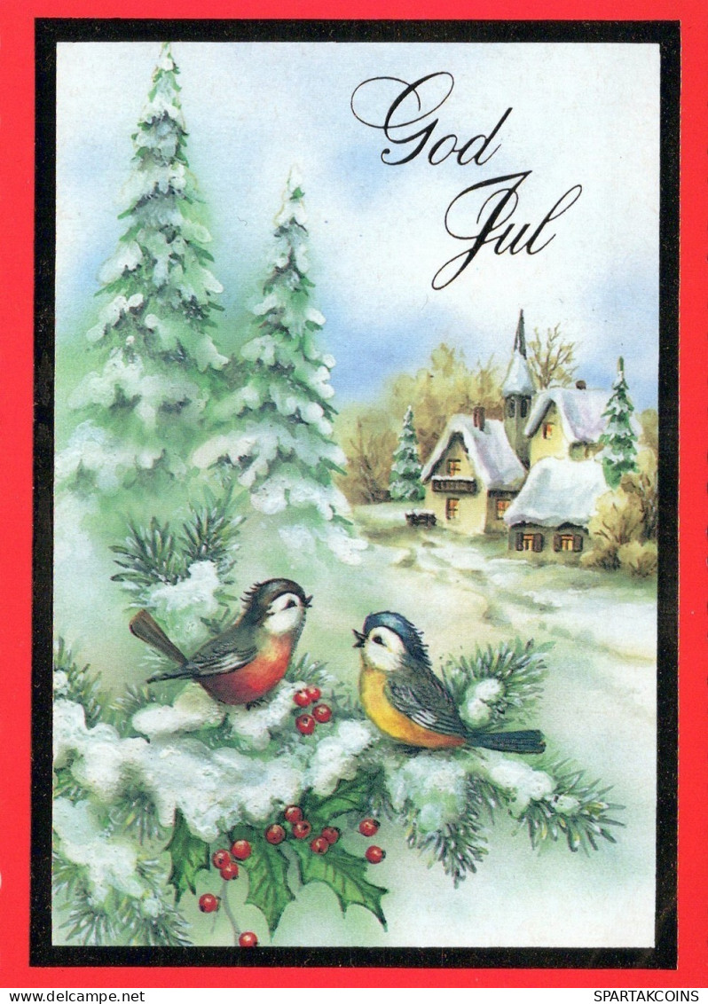 UCCELLO Animale Vintage Cartolina CPSM #PAN084.A - Birds