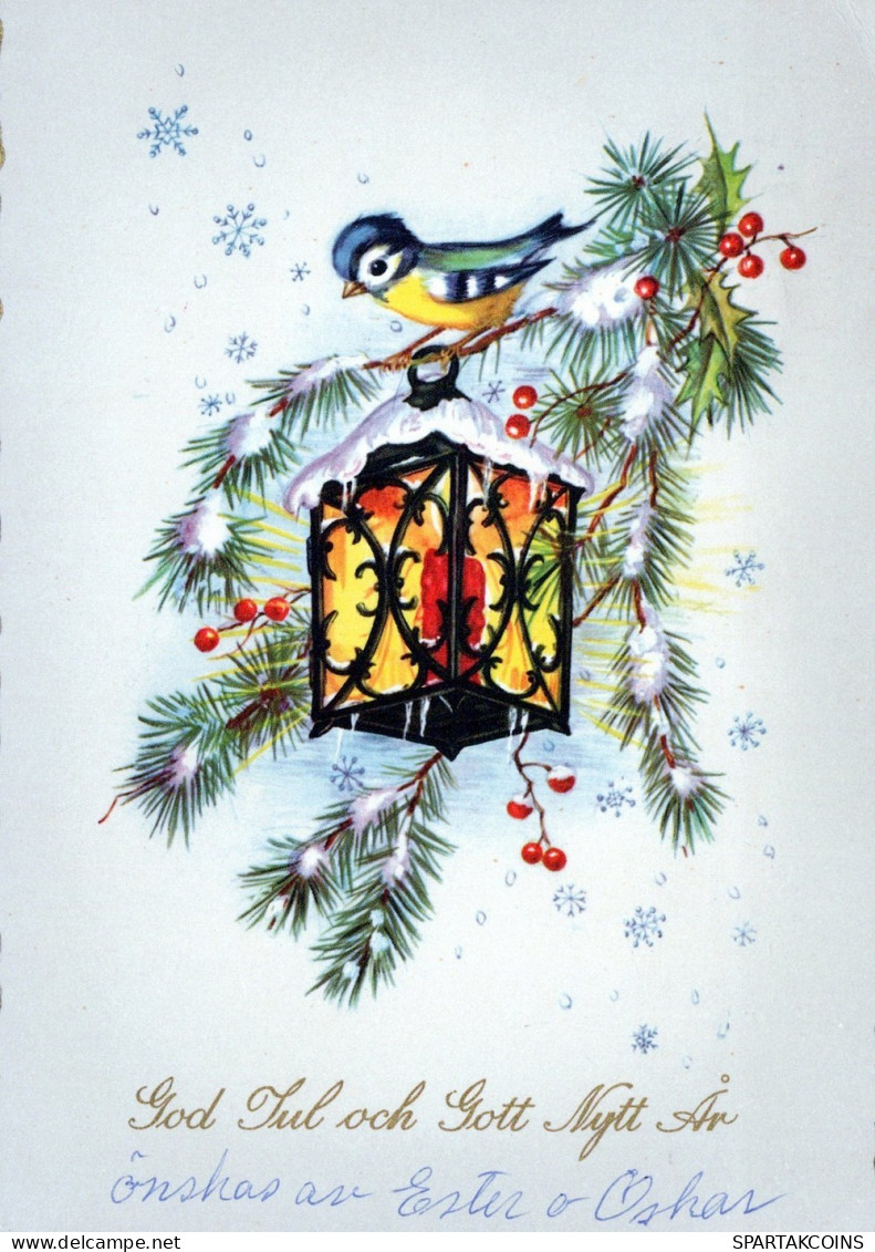 VOGEL Tier Vintage Ansichtskarte Postkarte CPSM #PAN016.A - Vögel
